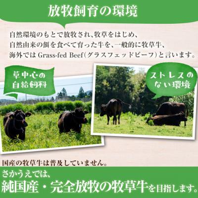 ふるさと納税 志布志市 南九州産牧草育ちの里山牛 ホルモンミックス計600g(200g×3パック)