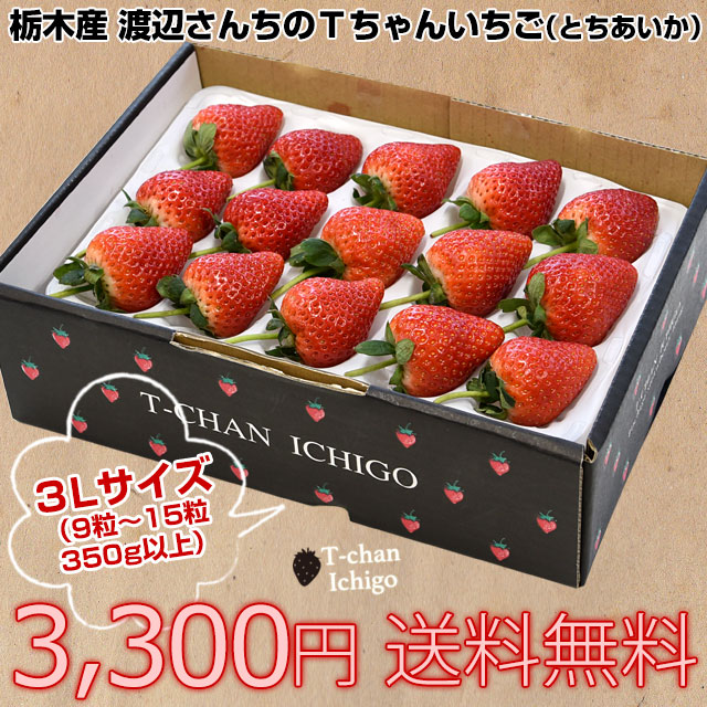 栃木県より産地直送 渡辺さんちのTちゃんいちご(とちあいか) 350g以上 　3Lサイズ(9粒から15粒)　 苺 イチゴ ストロベリー 送料無料 クール便