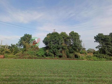 虎尾下溪庄邊有水有電1.9分休閒優質農地｜雲林縣虎尾鎮下溪