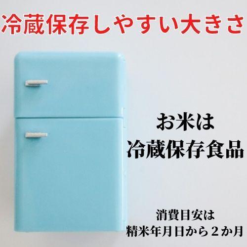 令和5年産　お米　ミルキークイーン　白米　5kg　しづくのしずく