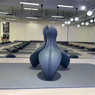 小海豚OOV脊椎勺糾正器背部核心訓練關節普拉提瑜伽輔具背部塑形