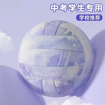 排球中考專用硬排5號初中生中學生女生體育訓練考試硬標準氣排球 【益三和】可開發票