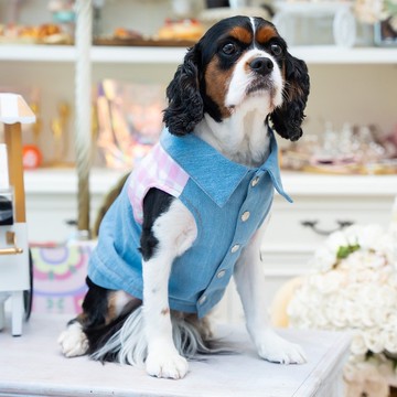 粉色格紋牛仔背心