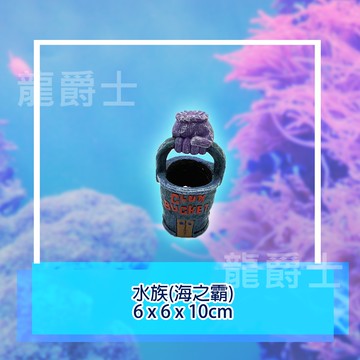 ✨現貨✨[龍爵士水族]水族(海之霸) 裝飾品 造景 擺飾 飾品 擺件 魚缸造景 魚缸擺飾 魚躲藏  Z18