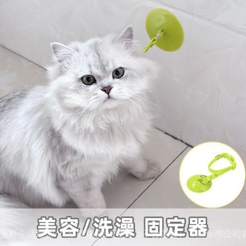 ✨可開發票#寵物洗澡固定器吸盤可拆卸貓咪狗狗清潔美容防掙脫防抓跑綁帶項圈#免運