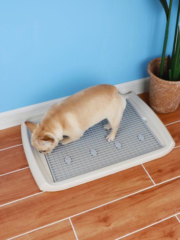 寵物樂園~寵物狗廁所平板尿尿盤便便盆法斗柯基泰迪狗廁所抽屜式幼犬狗屎盆 雙11全館免運