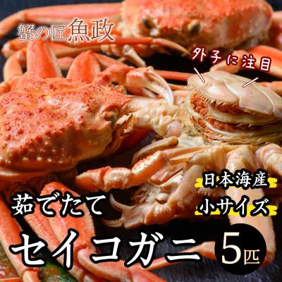 ふるさと納税 京丹後市 蟹の匠　魚政の内子外子が美味!　茹でたて　セイコガニ小サイズ　5匹