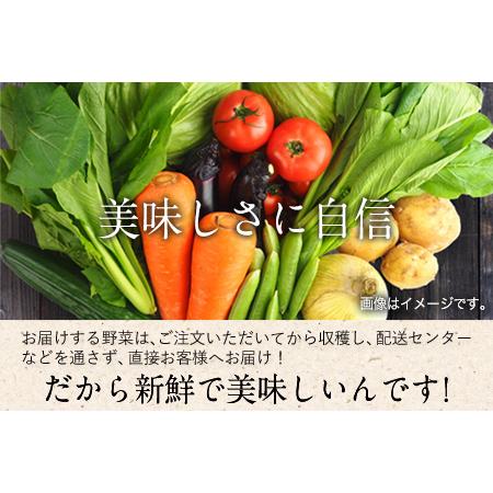 ふるさと納税 ★定期便 月1回 12ヶ月(計12回コース)★ 旬の新鮮野菜たっぷり16品セット★御船町産を中心とした旬の野菜セット 冷蔵 詰め合わせ .. 熊本県御船町