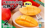 ＜訳あり・ご家庭用＞完熟アップルマンゴー約2kg（白箱）3玉～7玉