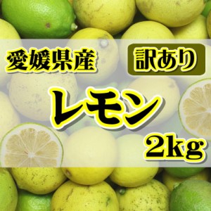 訳あり　国産 レモン約2kg　愛媛県産 ワックス・防腐剤不使用 れもん