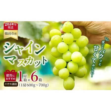 ふるさと納税 岡山県備前市産　樹上完熟「シャインマスカット」（ハウス栽培）1房箱×6箱セット 岡山県備前市