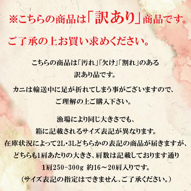 送料無料 ボイルズワイガニ 脚 セクション 5kg 2L〜3Lサイズ相当 250-300g 肩 甲羅を除いた肩から足の部分 かに 蟹 特価