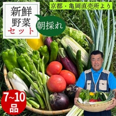 農家直送!佐伯の里の新鮮 季節の野菜セット 7～10品目