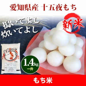 新米 もち米 愛知県 十五夜もち 1.4kg 1升 令和5年産 クーポン対象 北海道・沖縄配送不可