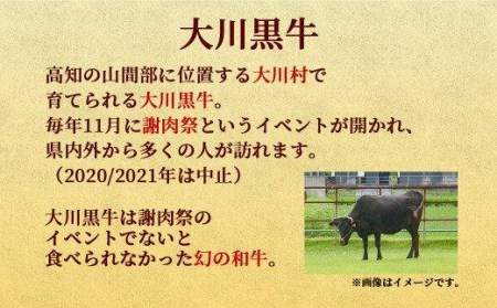 肉 牛肉 国産 黒毛 和牛 モモ ステーキ 300g 希少 幻の大川黒毛和牛 高知県 須崎市