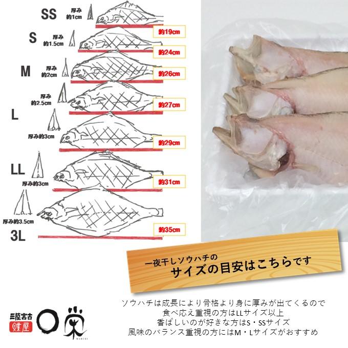 選べる一夜干しかれい 宗八 1.0kg 北海道産 サイズ(S〜3L) 干物 ギフト エテ ソウハチ 岩手 加工 冷凍 お取り寄せ グルメ