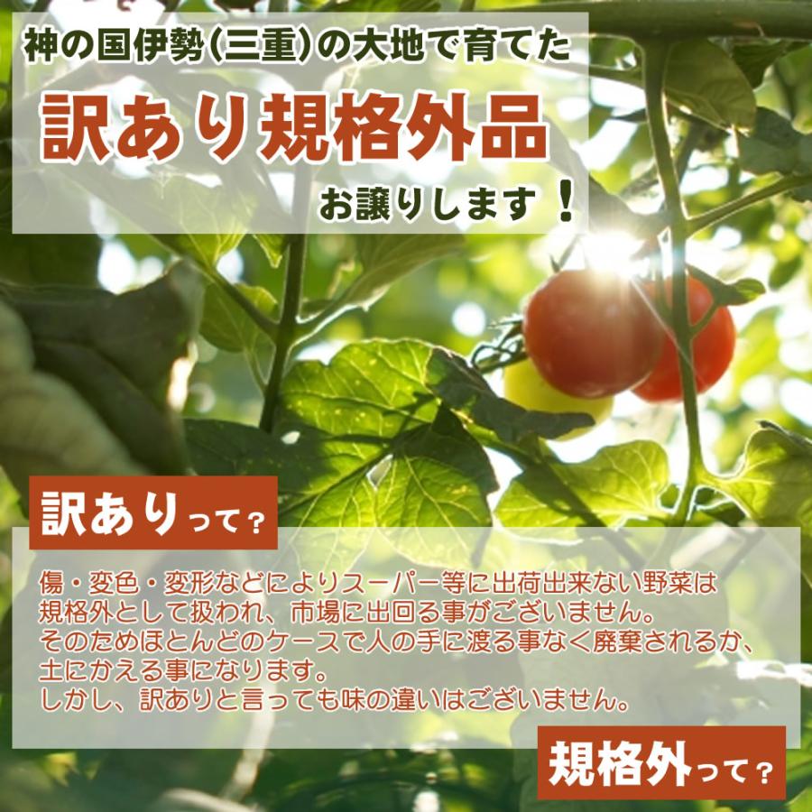 訳あり野菜 規格外野菜 とれたて新鮮 旬の 野菜セット 野菜詰め合わせ 4〜5種 ふぞろい 大きさお任せ 協生農法 有機野菜 入り 三重県 伊勢産 産地直送 送料無料