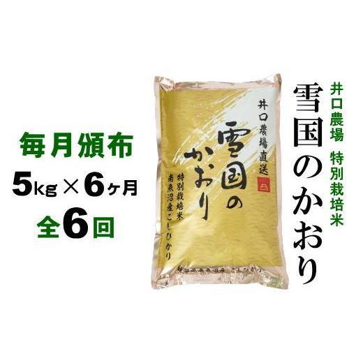 ふるさと納税 新潟県 南魚沼市 南魚沼産コシヒカリ「雪国のかおり」５kg毎月頒布（６ヶ月  全６回）