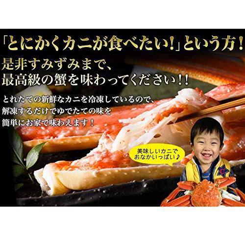 食の達人森源商店 姿ズワイガニ 高級カナダ産 ボイル済み 3kgセット(5〜6尾) カニ かに 蟹 味噌 グルメ