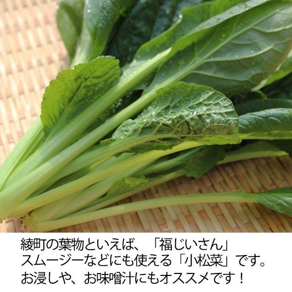 福じいさんの野菜宮崎県綾町産小松菜 150g＊7袋