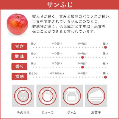 ふるさと納税 飯綱町 りんご 訳あり サンふじ 5kg 16~20玉 長野県産 家庭用