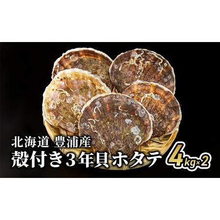 ふるさと納税 北海道 豊浦町 殻付き 三年貝 ホタテ 4kg ×2箱 ほたて 貝 海鮮 海 帆立 噴火湾 北海道豊浦町