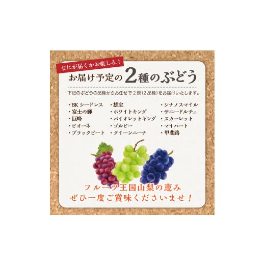 ふるさと納税 山梨県 富士吉田市 旬のフルーツ定期便 山梨県産 もも シャインマスカット ぶどう 果物 くだもの フルーツ 定期便 旬 先行予約 2…