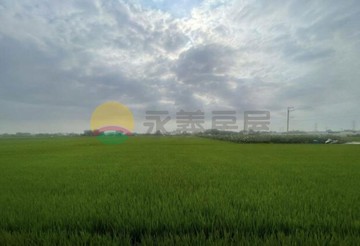 彰化田中角地雙臨路地形方正美農地B｜彰化縣田中鎮太平段