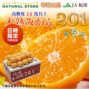 [予約 2023年 12月31日必着] 木熟みかん 木熟201 紀南木熟みかん 糖度14度 5kg 高糖度 和歌山県産 JA紀南 産地箱 冬ギフト お歳暮 御歳暮