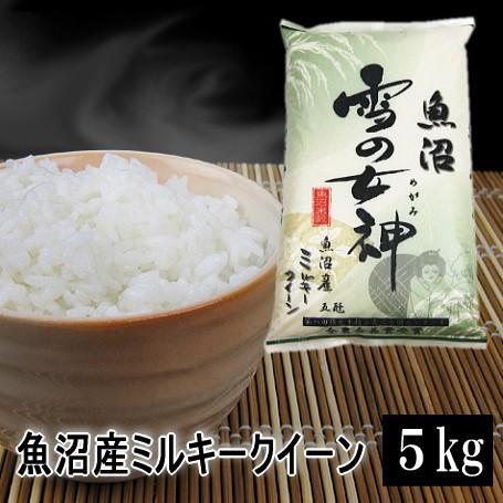 新米 米 5kg 魚沼産ミルキークイーン 令和5年産 白米 送料無料（北海道・九州・沖縄は除く）離島は発送不可