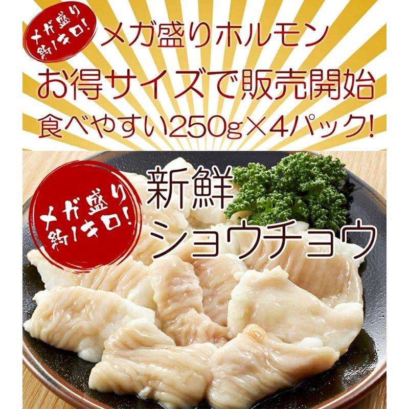 新鮮ホルモン 約1キロたっぷりホルモンを食べたいあなたにモツ鍋用の追加トッピングたっぷり約1キロお腹いっぱいになるお徳なホルモントッピングで