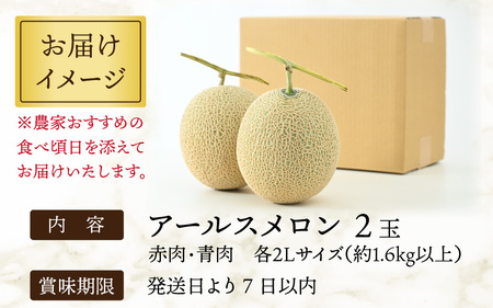 アールスメロン 食べ比べ2玉（約1.6kg以上×2玉）青肉、赤肉品種 高級メロン！ ／ マスクメロン 大玉 果物 フルーツ 夏 ギフト 農家直送 ※2024年7月上旬以降発送