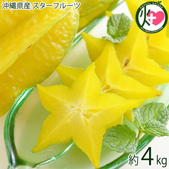 期間限定 沖縄産 スターフルーツ 約4kg 沖縄 南国フルーツ