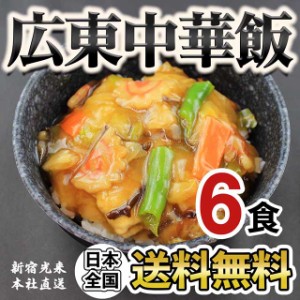 新宿光来『広東中華飯 6食』 ポイント消化 送料無料 中華総菜 グルメ