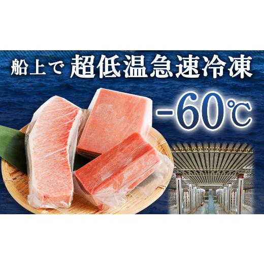 ふるさと納税 高知県 室戸市 厳選 天然 本マグロ セット６００ｇ以上 本まぐろ 100% 冷凍 刺身 海鮮 丼 さく 柵 ブロック