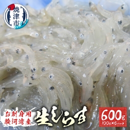 a10-653　お刺身用駿河湾産生しらす600g（100g×6パック）