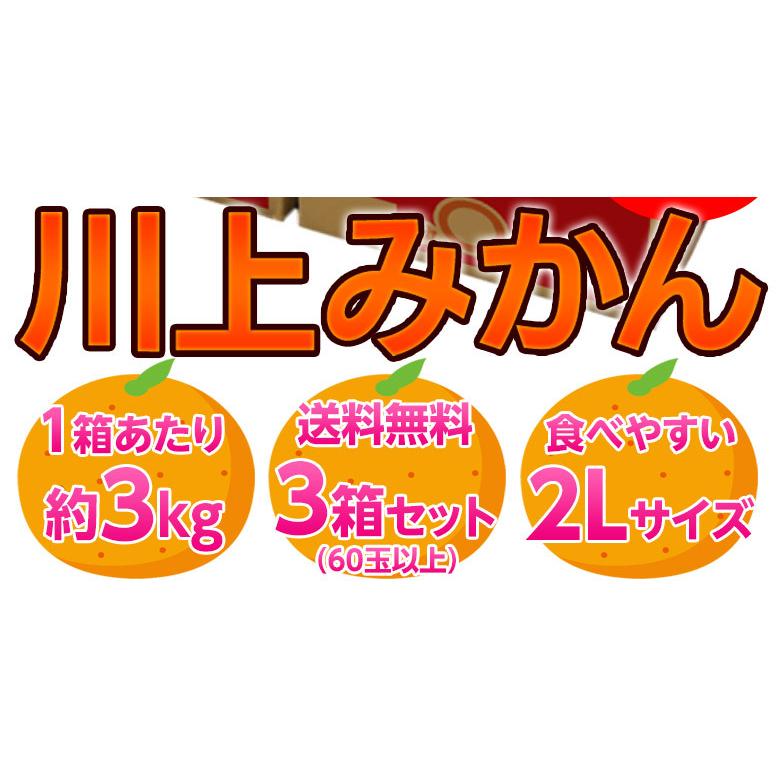 JAにしうわ 愛媛 西宇和産 川上みかん 大玉2Lサイズ 約3kg×3箱 送料無料 ギフト お歳暮 みかん