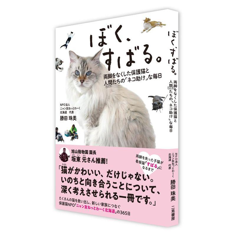 ぼく、すばる。両脚をなくした保護猫と人間たちの「ネコ助け」な毎日