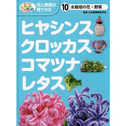 水栽培の花・野菜 ヒヤシンス・クロッカス・コマツナ・レタス