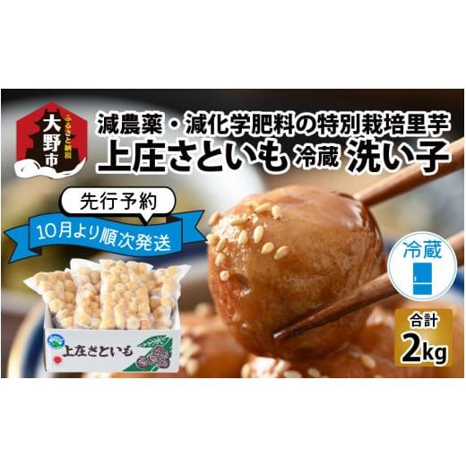 ふるさと納税 福井県 大野市 上庄さといも 洗い子 2kg（500g × 4袋）減農薬・減化学肥料の特別栽培里芋 農家直送 煮物に便利な小さめサイズ【10月中…