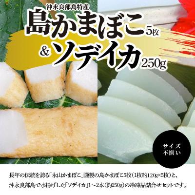 ふるさと納税 和泊町 島かまぼこ5枚ソデイカ約250グラム サイズ不揃い