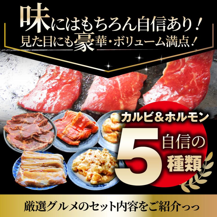 焼肉 セット 牛肉 肉 達人セット 5種盛り 食べ比べ5人前 カルビ ホルモン 福袋 お歳暮 ギフト 食品 プレゼント 女性 男性 お祝い 新生活