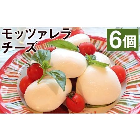 ふるさと納税 モッツァレラチーズ 「ミル爆」計600g（100g×6個）チーズ 熊本県菊池市