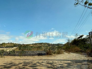 大肚產業園區大面積農地｜台中市大肚區福和北段