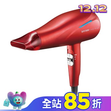 達新牌銀離子抗菌負離子吹風機TS-2969