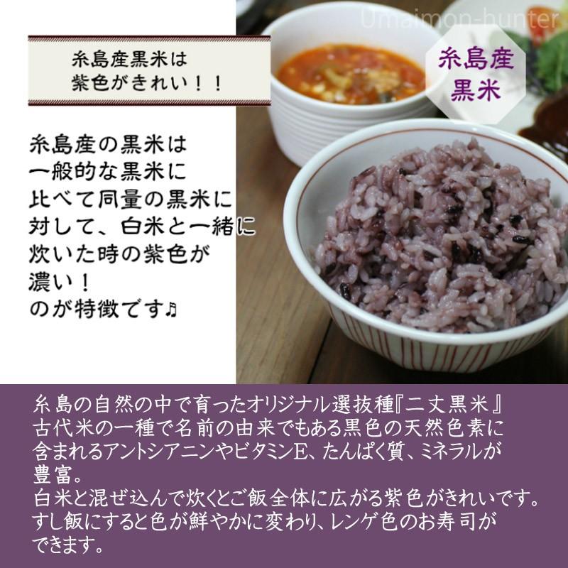 糸島産黒米 150g×1P カルナ 二丈黒米 古代米の一種 アントシアニン ビタミンE たんぱく質 ミネラル 豊富 ビタミン・ミネラル アントシアニン