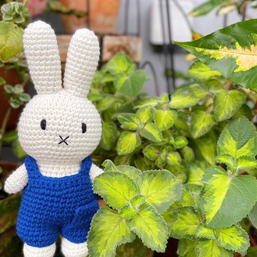 荷蘭 Just Dutch | Miffy 米飛兔 編織娃娃和她的藍色吊帶褲