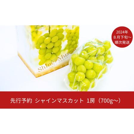 ふるさと納税 先行予約 シャインマスカット 1房(700g以上) [2024年発送予定] 新潟県産 種なし ぶどう マスカット [JAえちご中越] 新潟県三条市