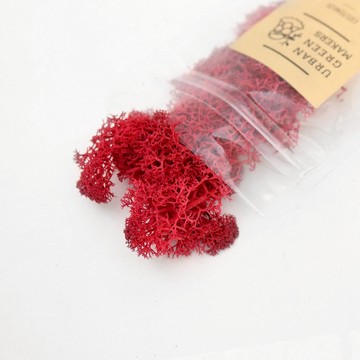 馴鹿最喜歡的植物 - Moss 馴鹿苔 / 紅色