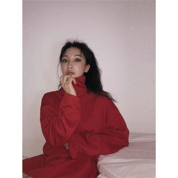 歐洲站2024春季新寬松顯瘦高領天鵝絨遮臀學生保暖上衣中長款絨衫